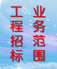 招投标代理 招投标代理