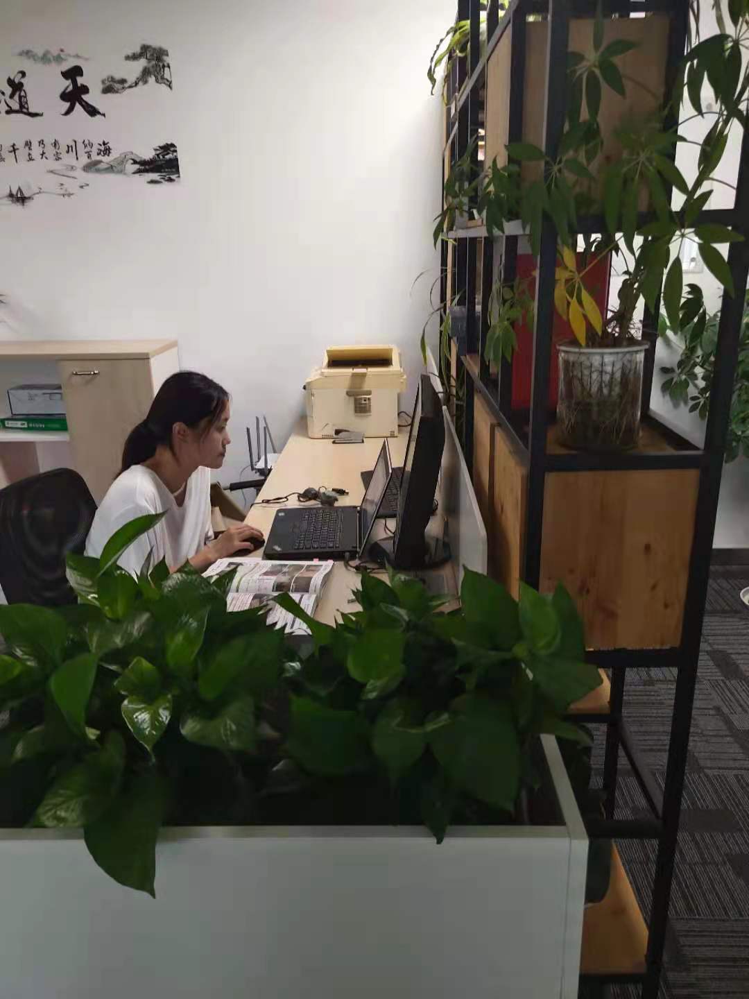 99088藏宝阁资料